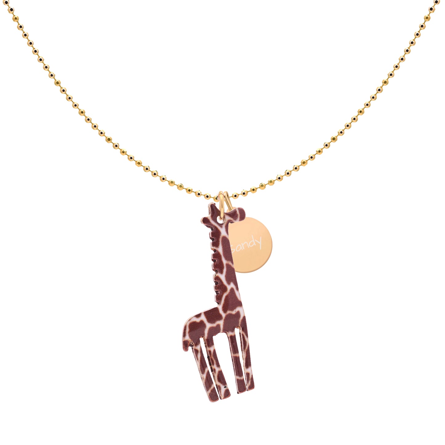 Whimsical Long Neck Necklace with Personalized Coin charm